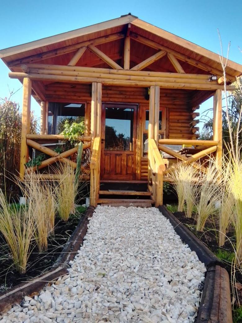 Foresta Acantilados, Casa Container Y Cabana De Troncos 马德普拉塔 外观 照片