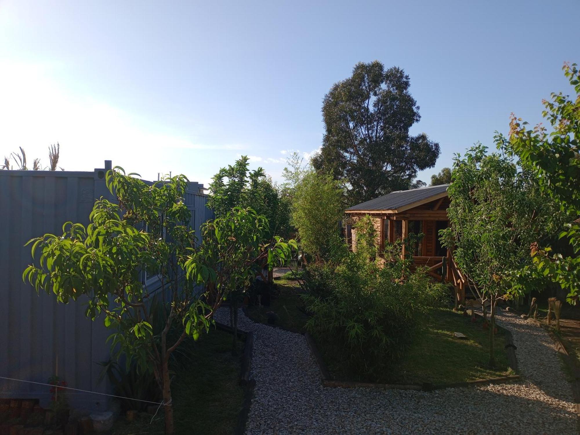 Foresta Acantilados, Casa Container Y Cabana De Troncos 马德普拉塔 外观 照片
