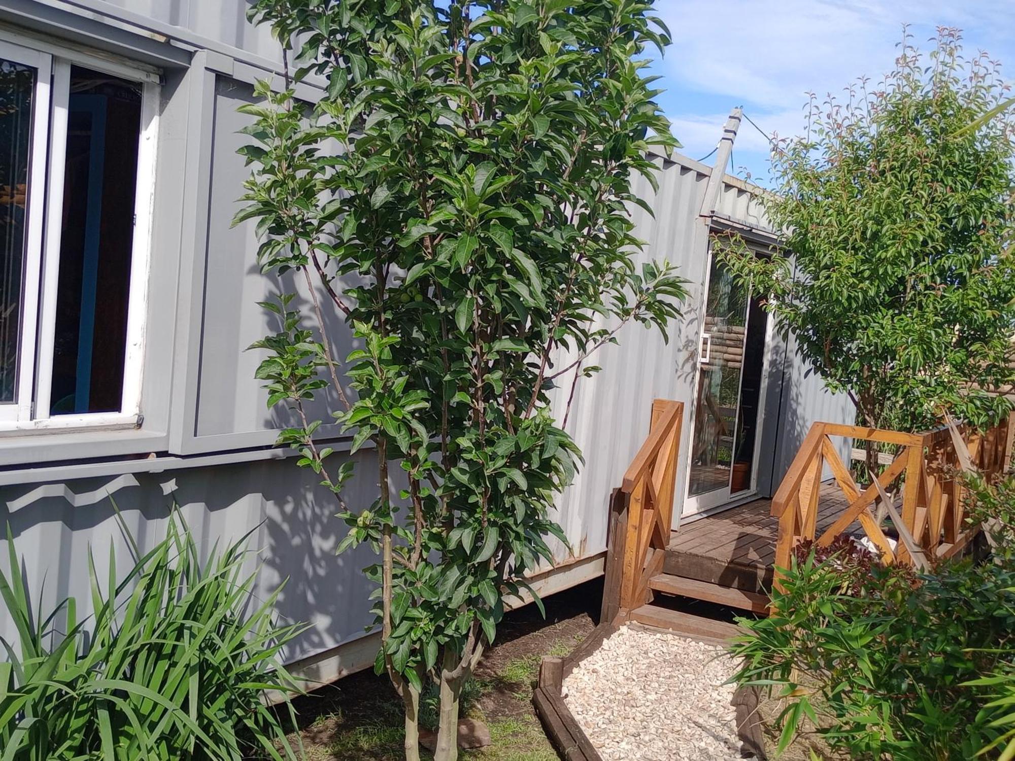 Foresta Acantilados, Casa Container Y Cabana De Troncos 马德普拉塔 外观 照片